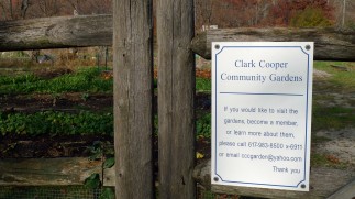 20111118-1_Clark-Cooper-Community-Gardens_01
